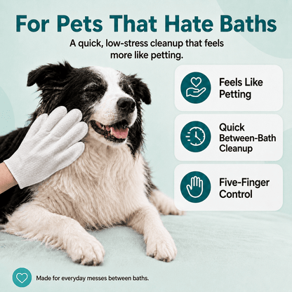 A Cleaner Pet Without The Full Bath